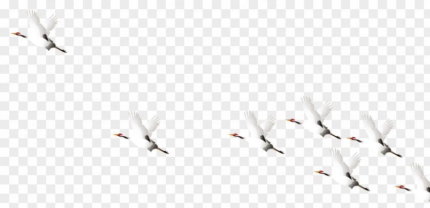 A Group Of Cranes Flying Paper Bird Pattern PNG