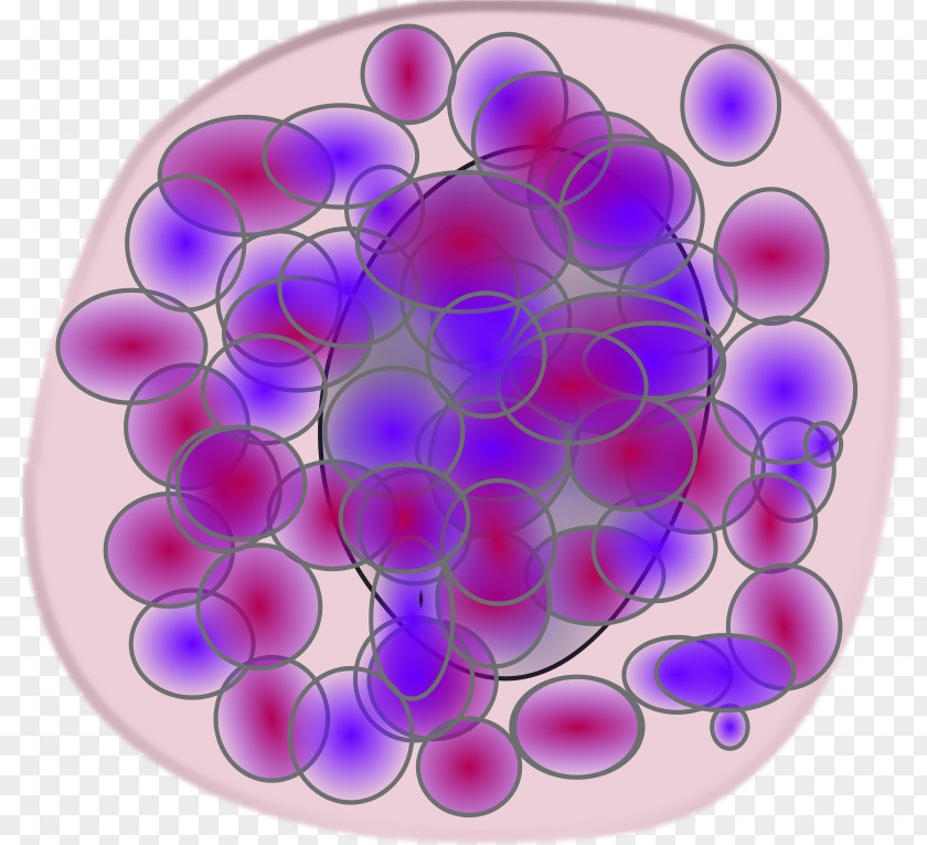 Blood Monocyte Cell Immune System PNG