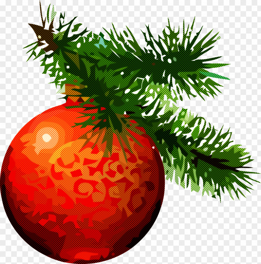 Christmas Pine PNG