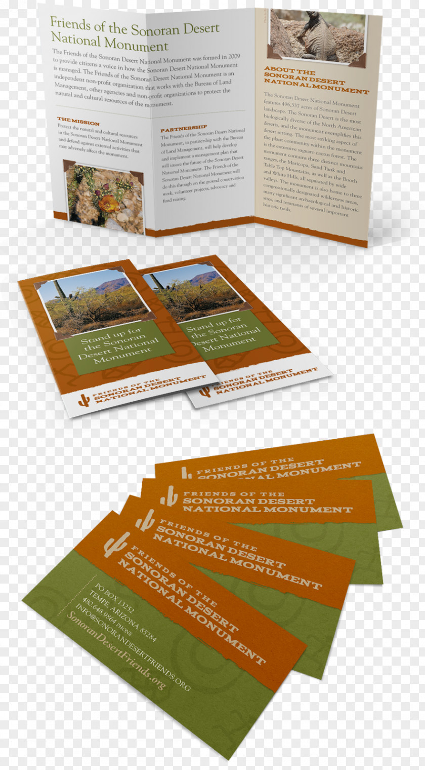 Design Brochure PNG