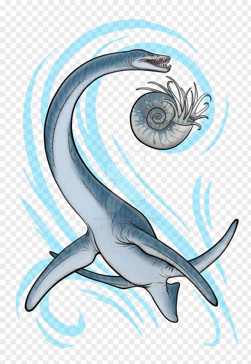 Dolphin Porpoise Clip Art Illustration Car PNG