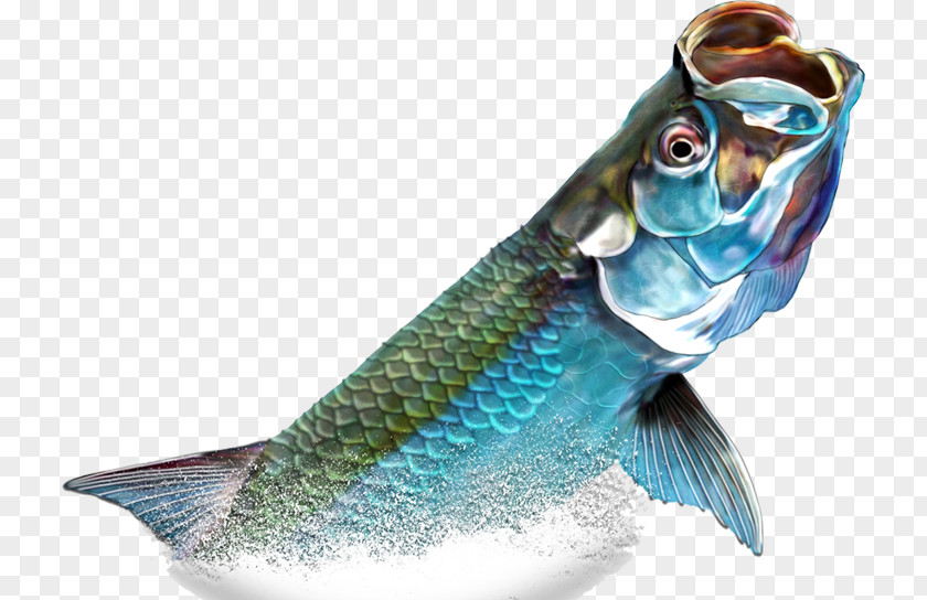 Hand-painted Blue Fish Atlantic Tarpon Painting Photography Illustration PNG