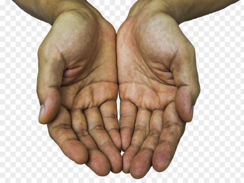 Hands Holding Finger Photography PNG