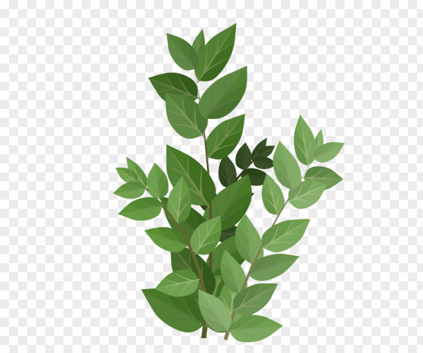 儿童节logo Green Leaf PNG