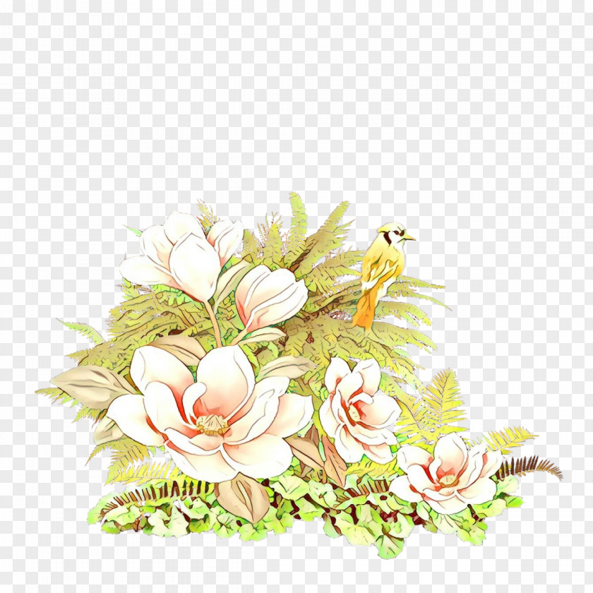 Magnolia Floristry Flower Cut Flowers Plant Flowering Bouquet PNG