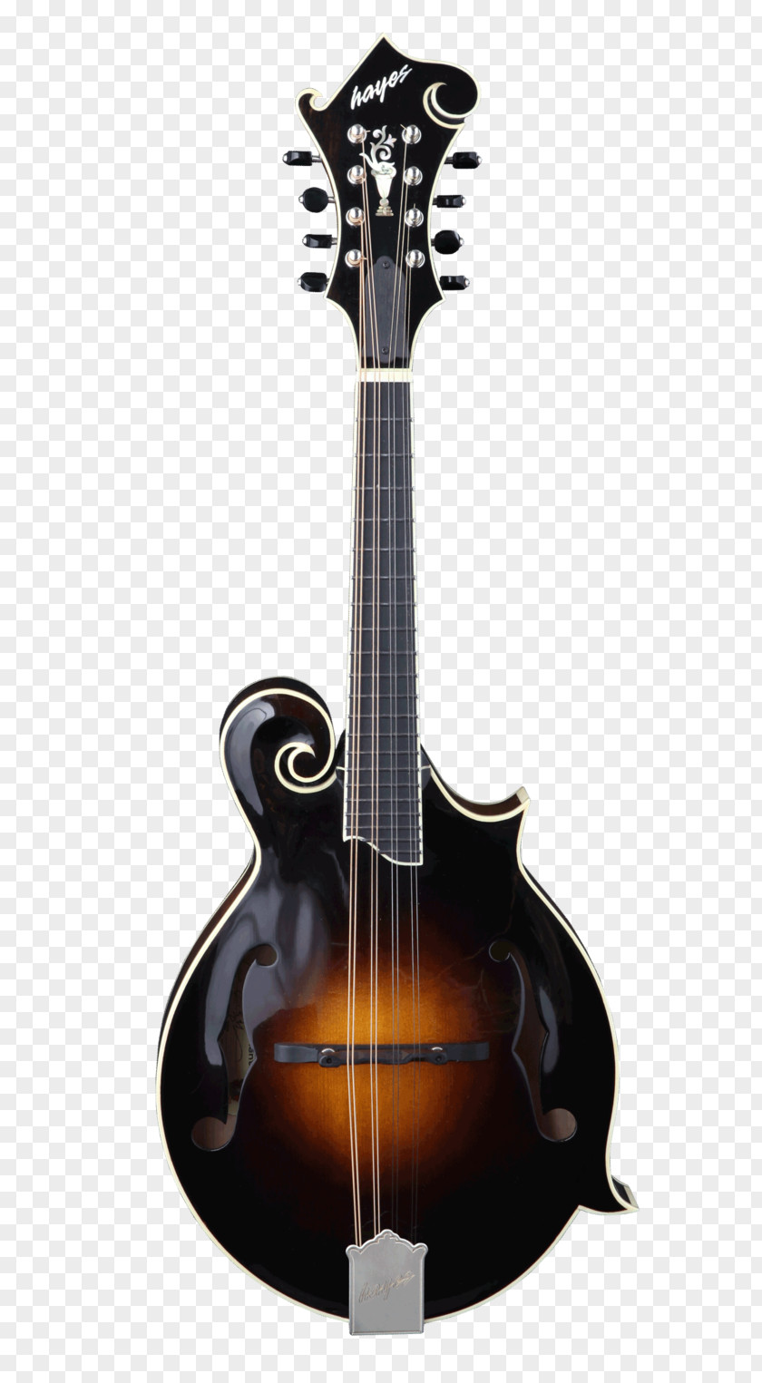 Musical Instruments Mandolin Musician Acoustic Guitar PNG