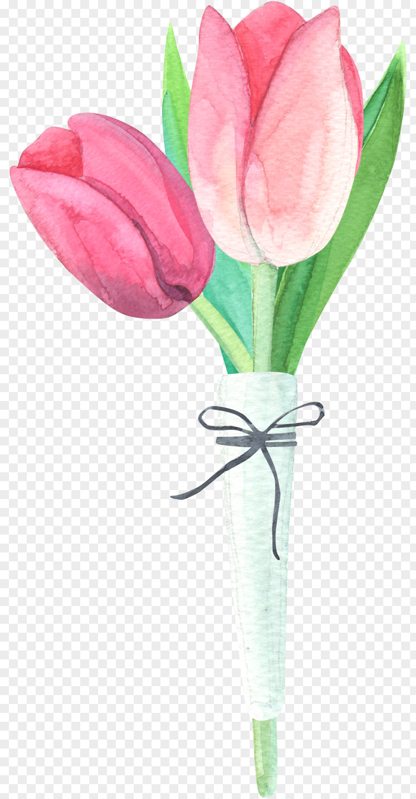 Two Tulips Tulip Drawing Clip Art PNG