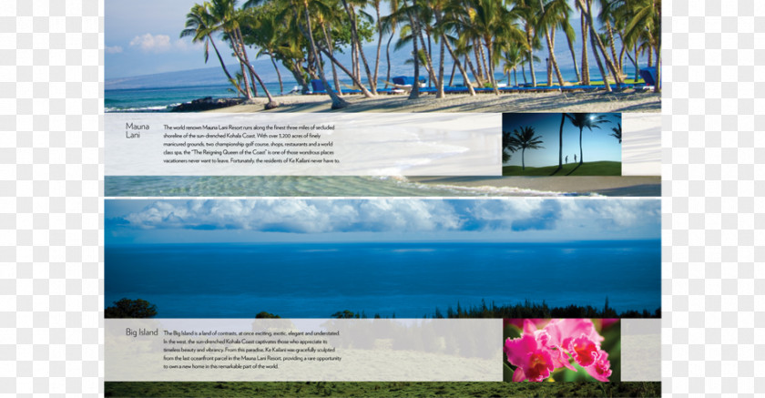 Adagency Pamphlet Water Resources Advertising Vacation Tourism Brand PNG