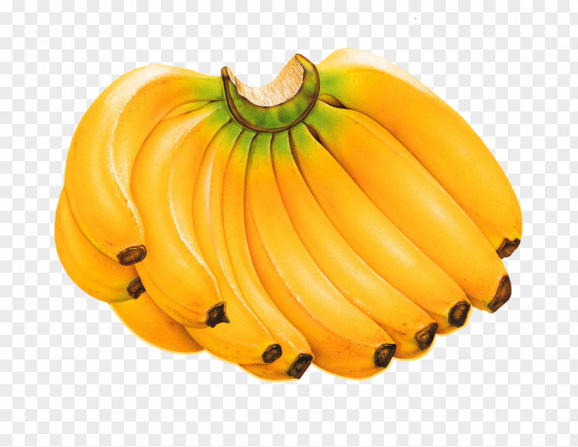 Banana Bread Bunchy Top Virus Food Fruit PNG