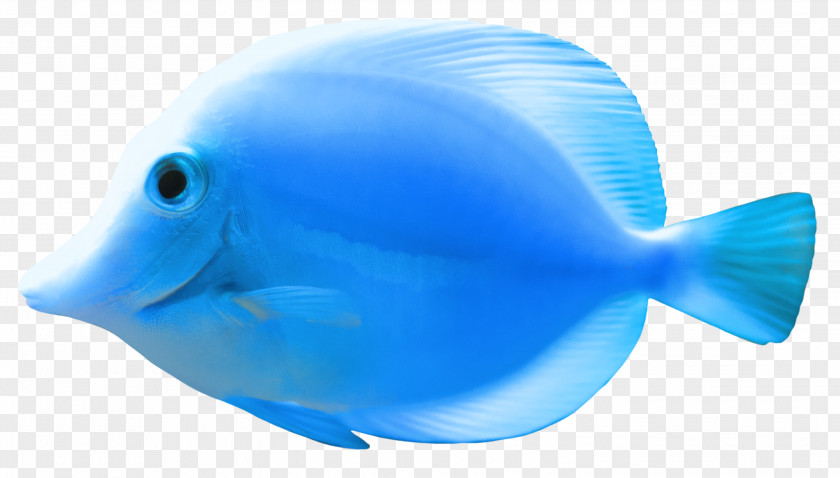 Fish 2 FNaF World Bluefish Fishing PNG