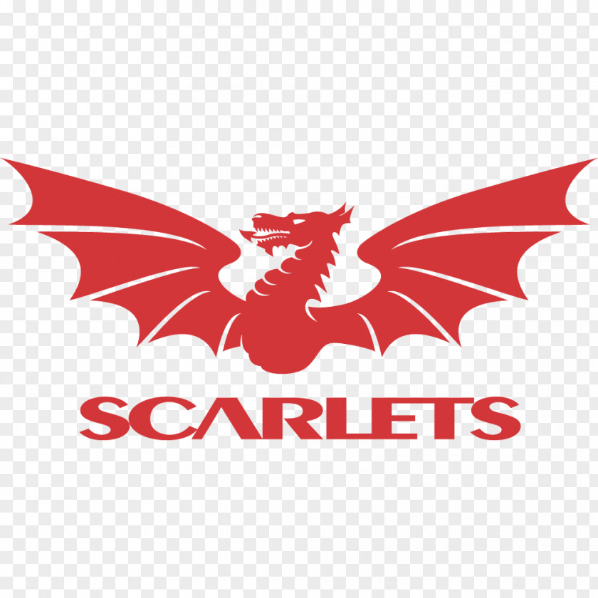 Glass Palace Ga Parc Y Scarlets Guinness PRO14 European Rugby Champions Cup Edinburgh PNG