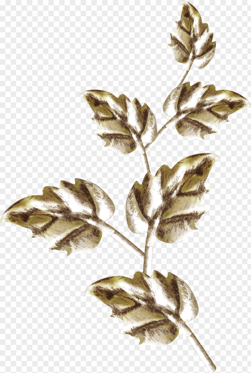 Gold Leaf,Bronze Leaves Leaf Twig PNG