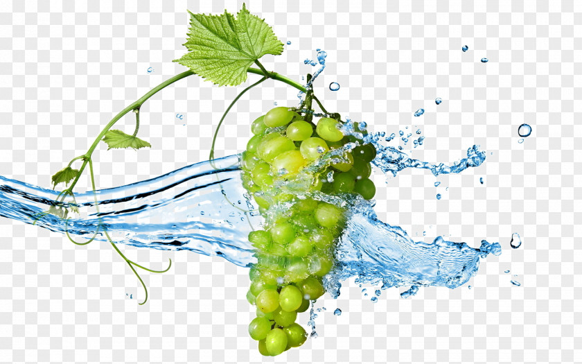 Grape Stock Photography Wine Desktop Wallpaper PNG