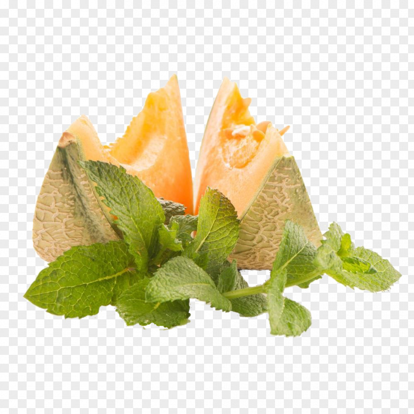 Melon Honeydew Hami Juice Cantaloupe PNG