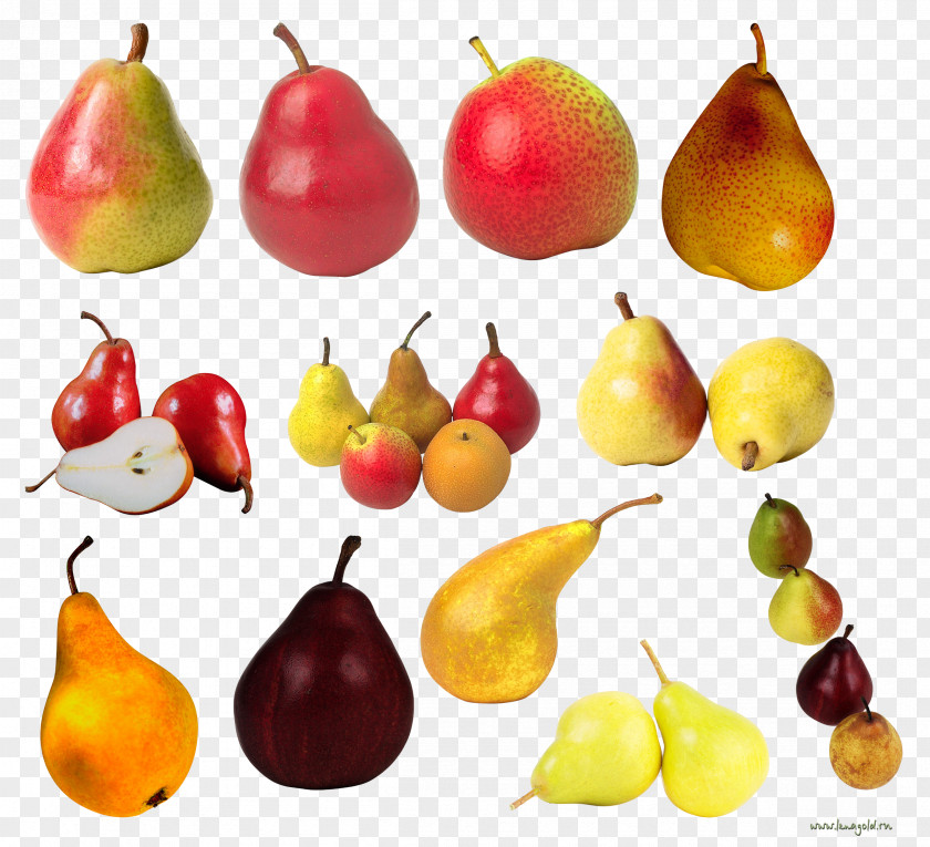 Pears Clipart Image European Pear Fruit Clip Art PNG