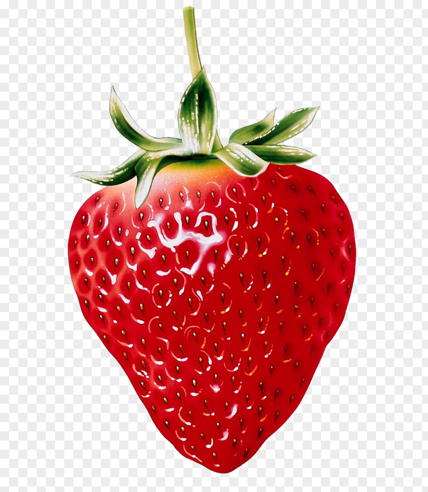 Strawberries Strawberry Fruit Painting Drawing Art PNG