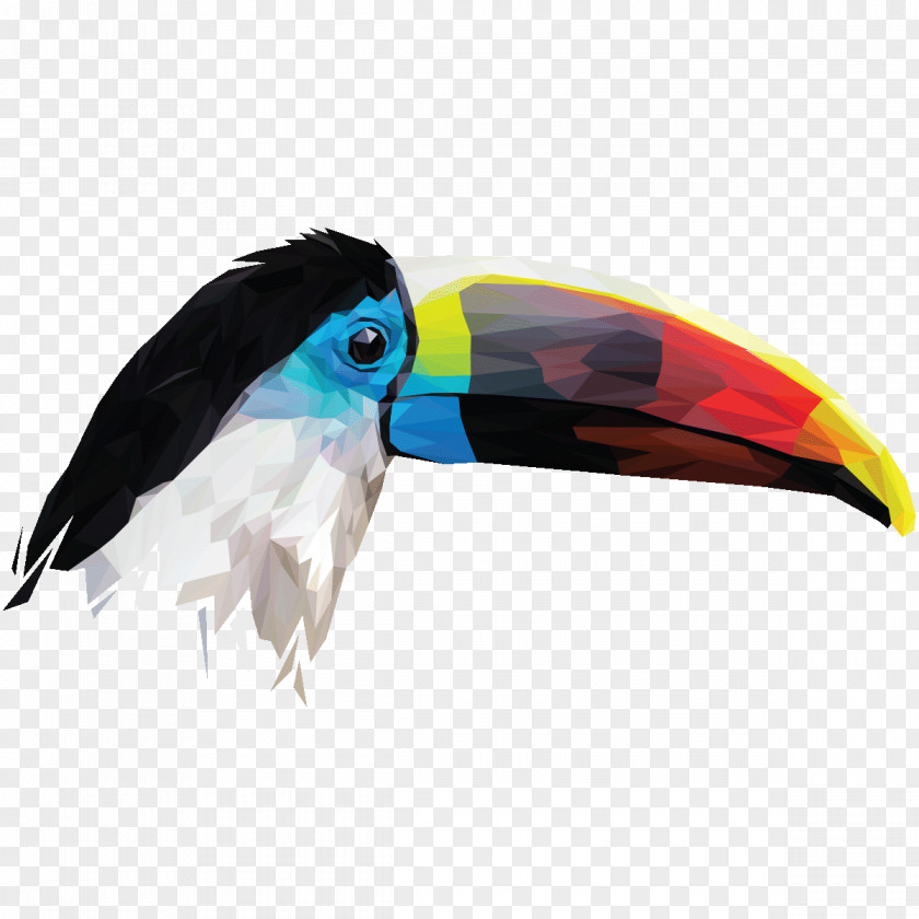 Toucan Sticker .de PNG