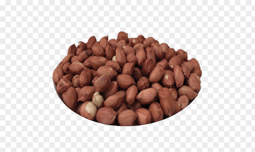 Tree Hazelnut Nut Allergy Peanut VY2 PNG