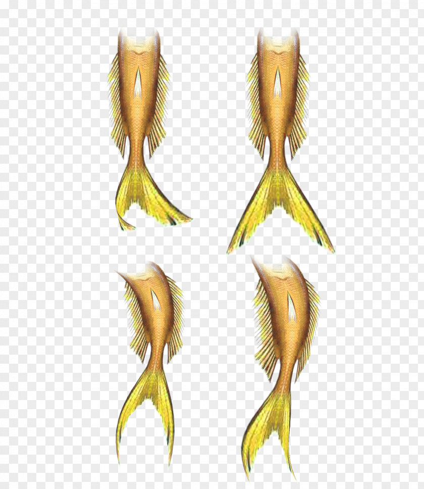 Variety Beautiful Mermaid Tails Collection Tail La Connaissance De Lunivers PNG