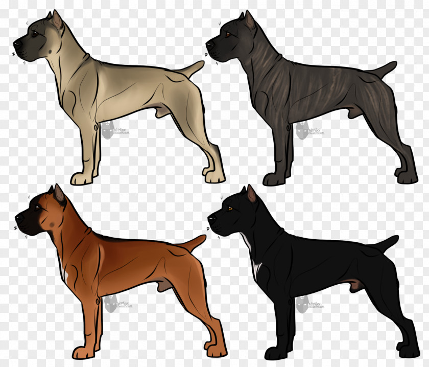 Cane Corso Ancient Dog Breeds PNG