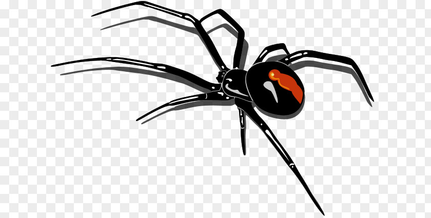 Cartoon Spider Redback Clip Art PNG