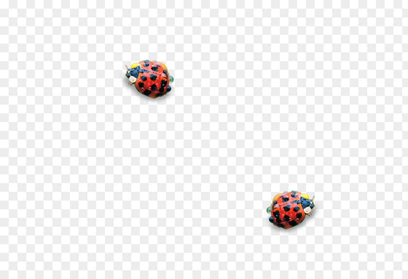 Ladybug Euclidean Vector Icon PNG