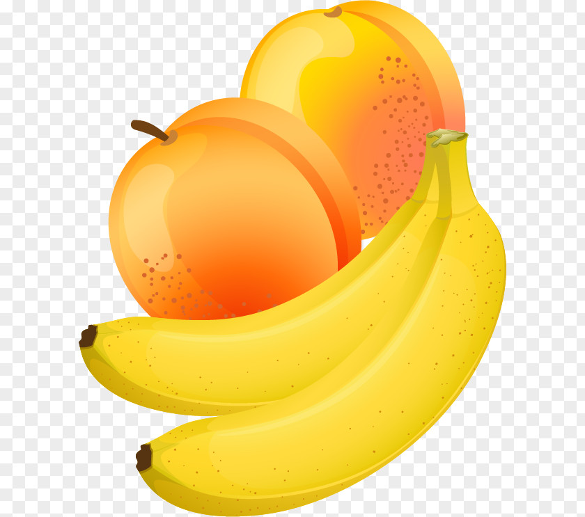 Banana Apricot Vector Material Fruit Clip Art PNG