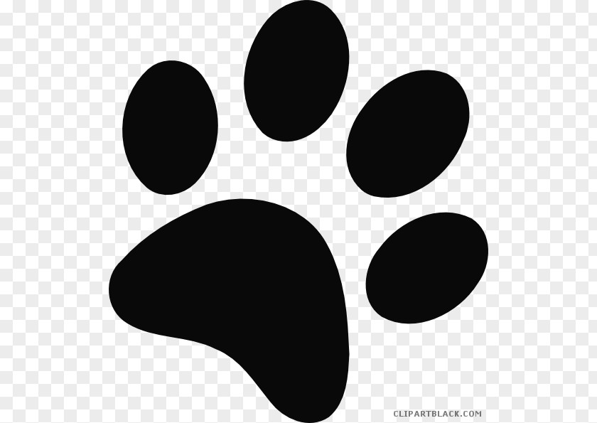 Cat Bear Dog Paw Tiger PNG