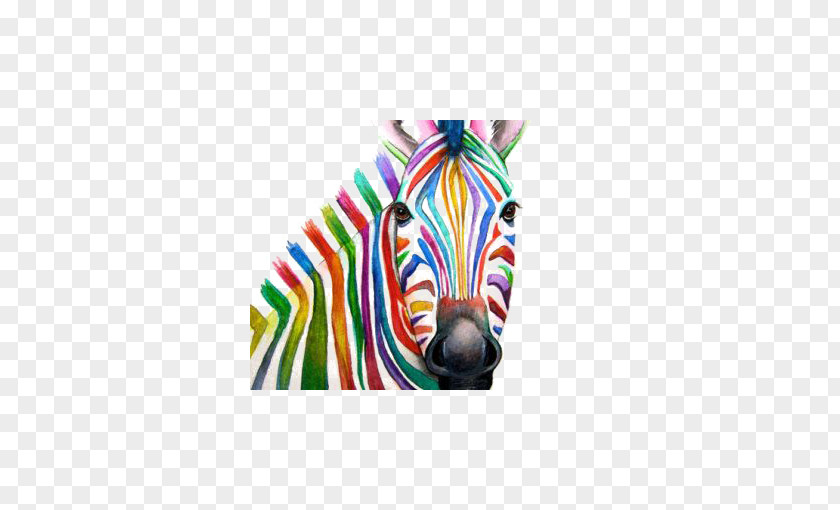 Color Zebra Horse Northern Giraffe Watercolor Painting PNG