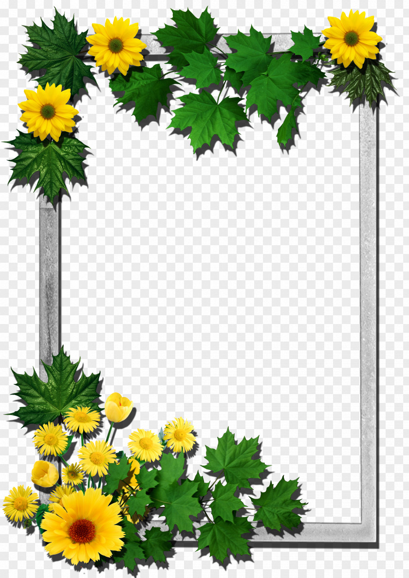 Flower Frame Picture Frames Clip Art PNG