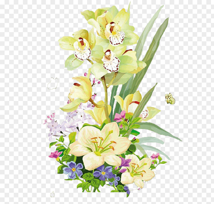 Moth Orchid Clip Art Design Image Illustration PNG