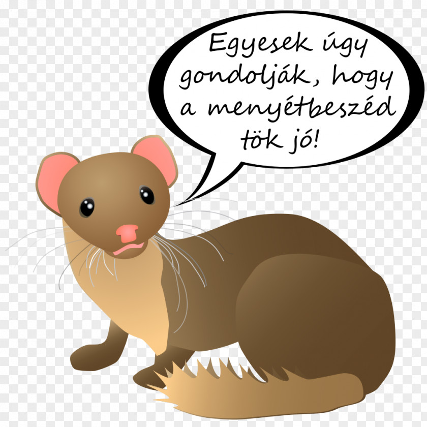 Word Weasel Weasels Phrase Information PNG