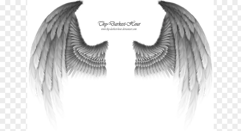 Angel Clip Art PNG