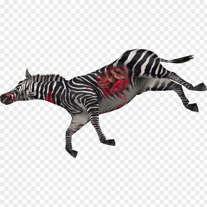 Deadanimal Zebra Clip Art PNG