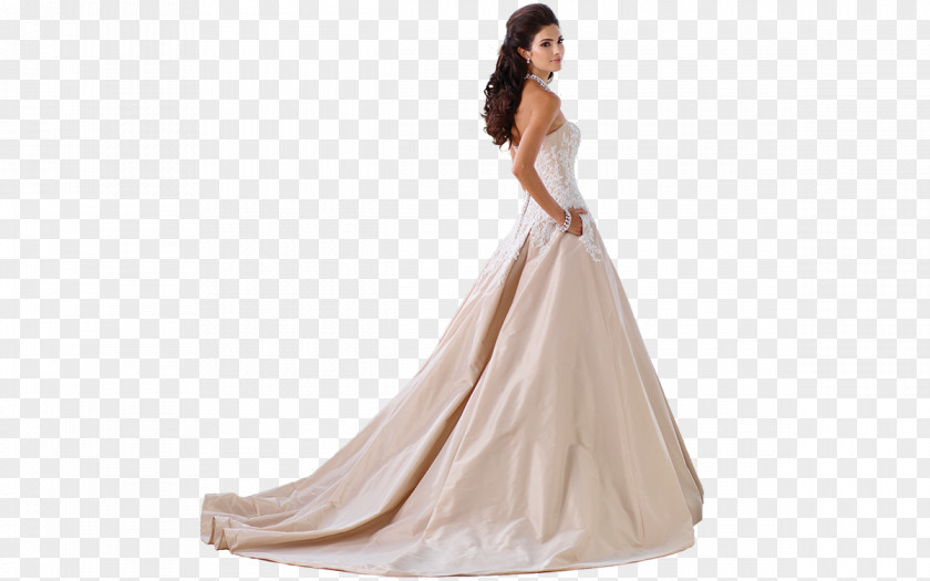 Dress Wedding Evening Gown PNG