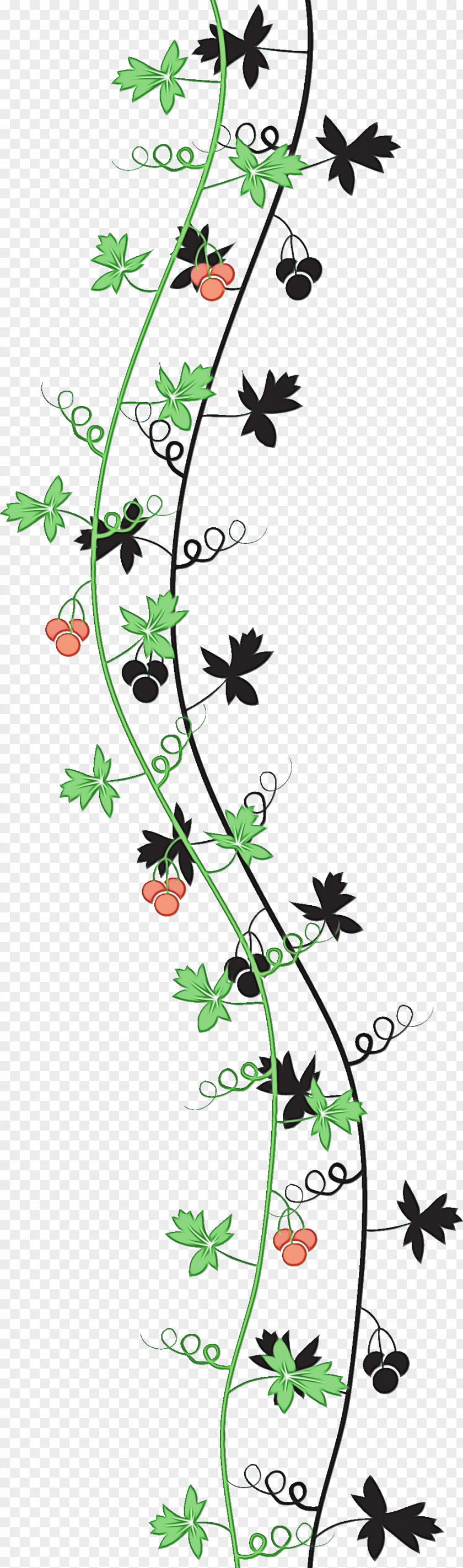 Flower Plant Pedicel Wildflower Stem PNG