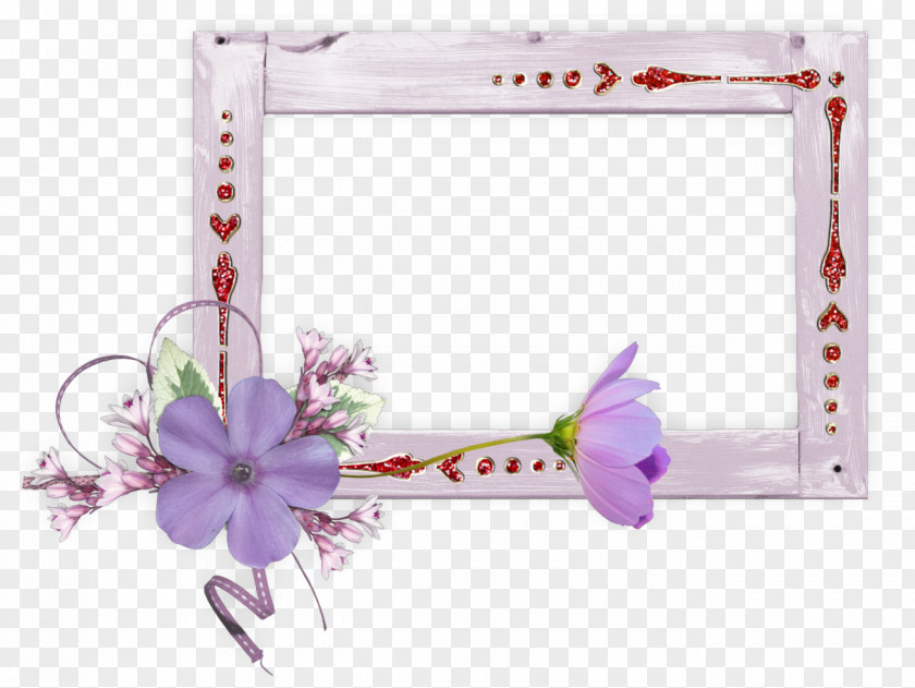 Foto Picture Frames Photography Molding PNG