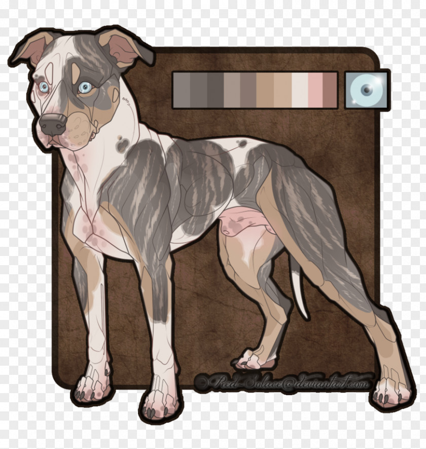 American Staffordshire Terrier Pit Bull Boston Dog Breed PNG