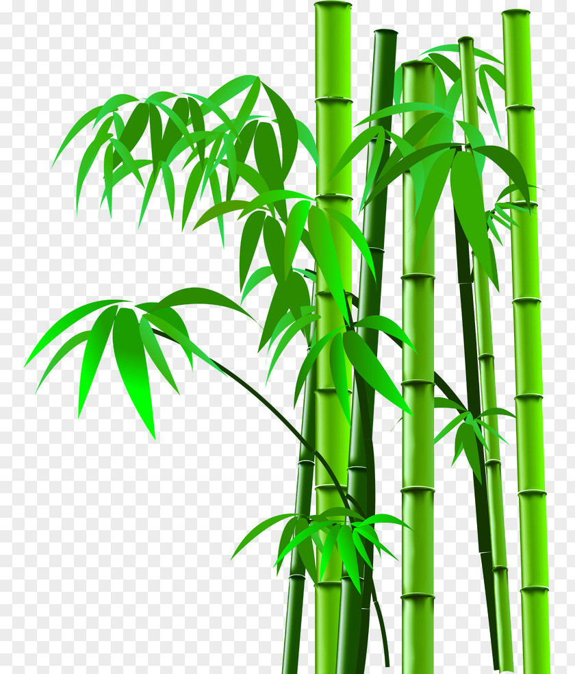 Cartoon Bamboo Picture Silhouette,bamboo Image Scanner PNG