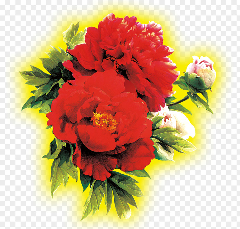 Chrysanthemum Floral Design Flower PNG