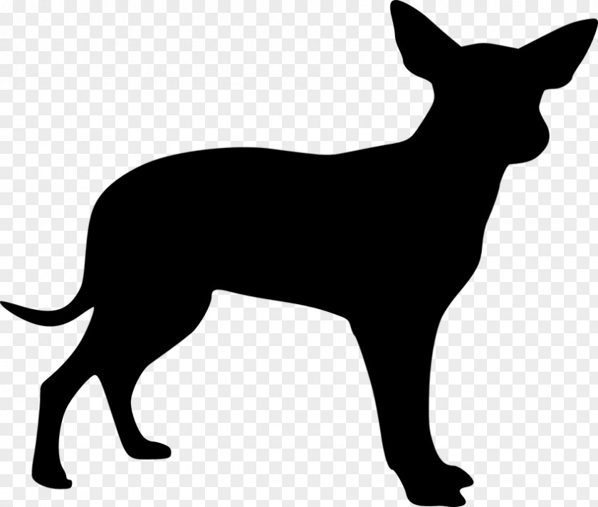 Dogs Vector Mexican Hairless Dog Chihuahua Drawing Clip Art PNG