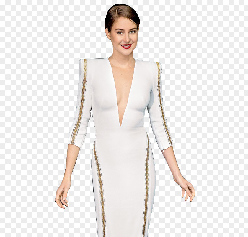 Dress Cocktail Shoulder Gown PNG