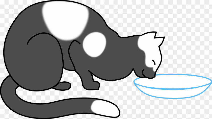 Drinking Cat Kitten Clip Art PNG