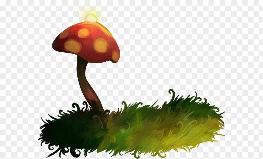 Mushrooms Green Grass Mushroom Shiitake PNG