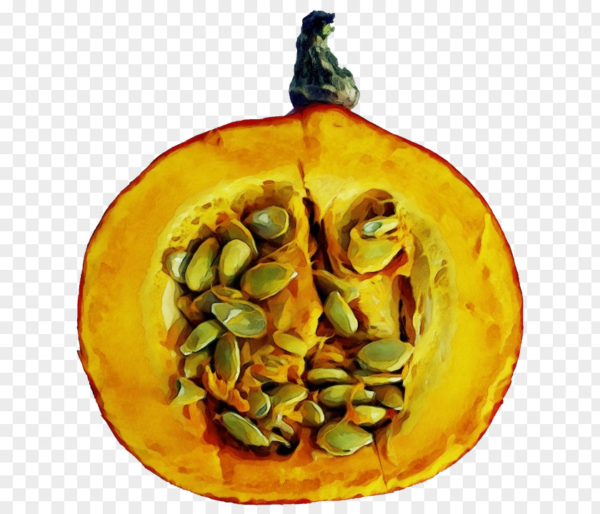 Squash Cucurbita Pumpkin PNG