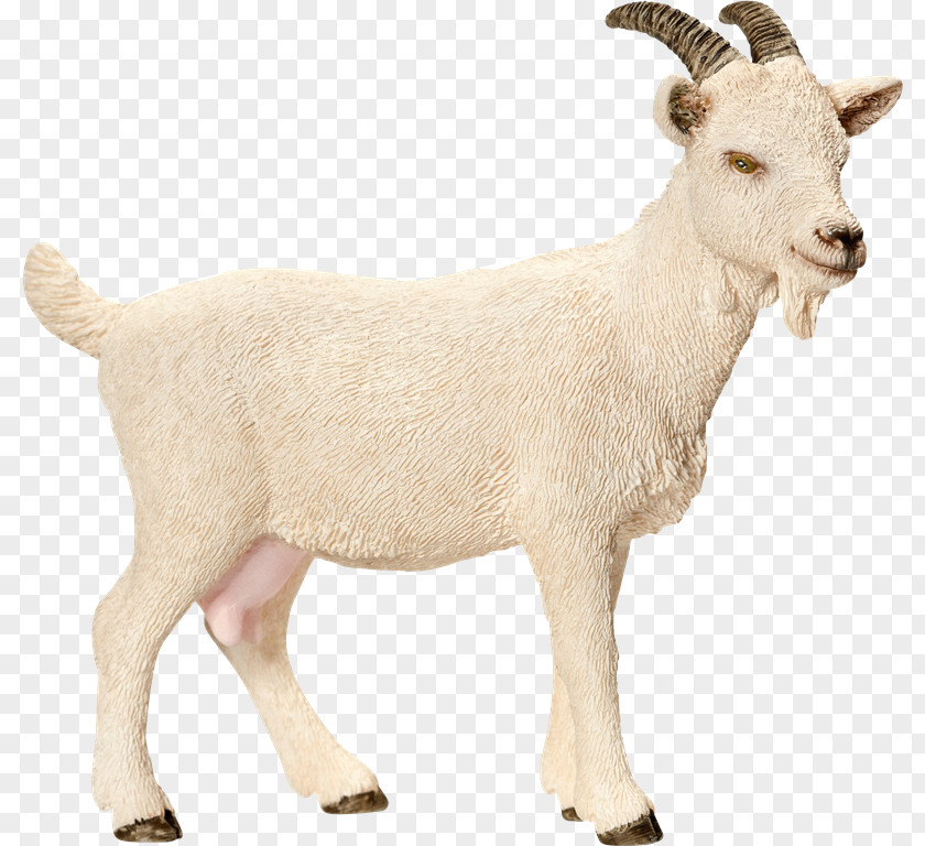Tw Nigerian Dwarf Goat Sheep Schleich Toy Amazon.com PNG