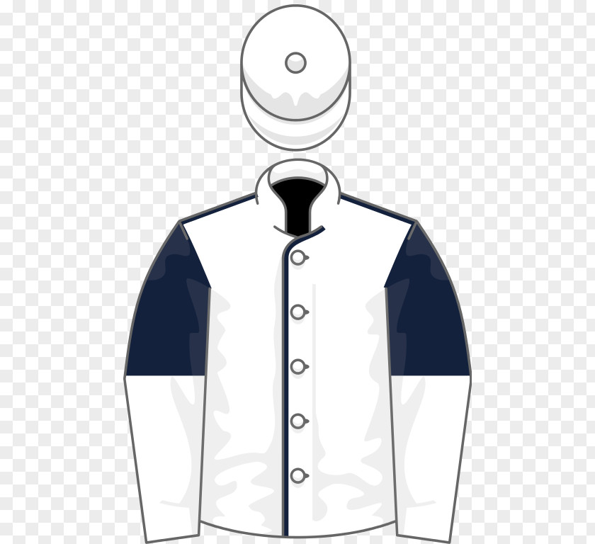 United States Of America National Hunt Flat Race Horse Image PNG