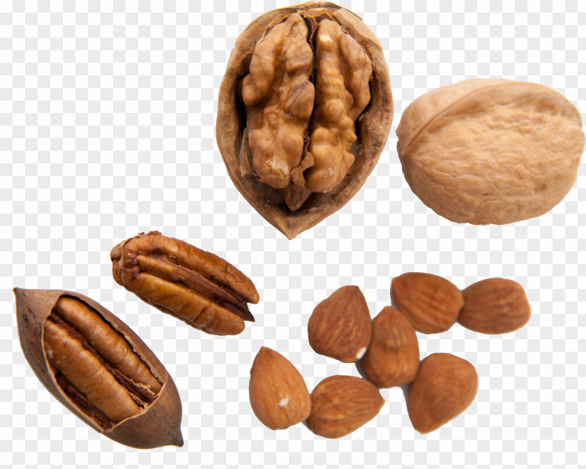 Walnut Pecan Nuts Auglis PNG