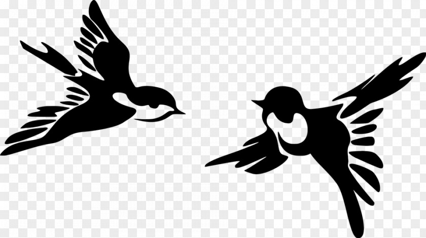 Bird Swallow Silhouette Clip Art PNG