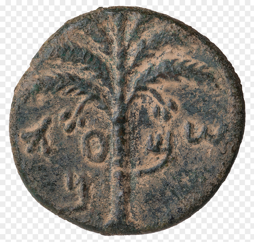 Coin Aelia Capitolina Bar Kokhba Revolt Rottenburg Am Neckar First Jewish–Roman War PNG